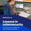 The Lessons in Cybersecurity: How Education Coped in the Shift to Distance Learning Report